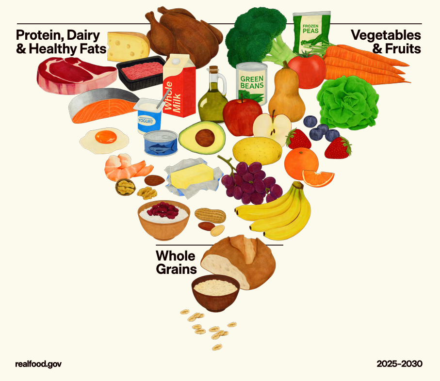 The inverted food guide pyramid
