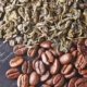 Functional Ingredients Caffeine 01