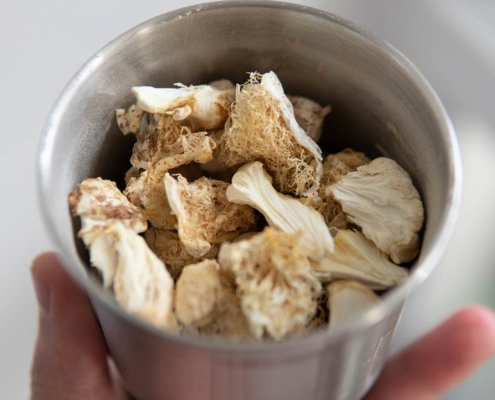 Lions Mane Mushroom Nootropic in a metal bowl