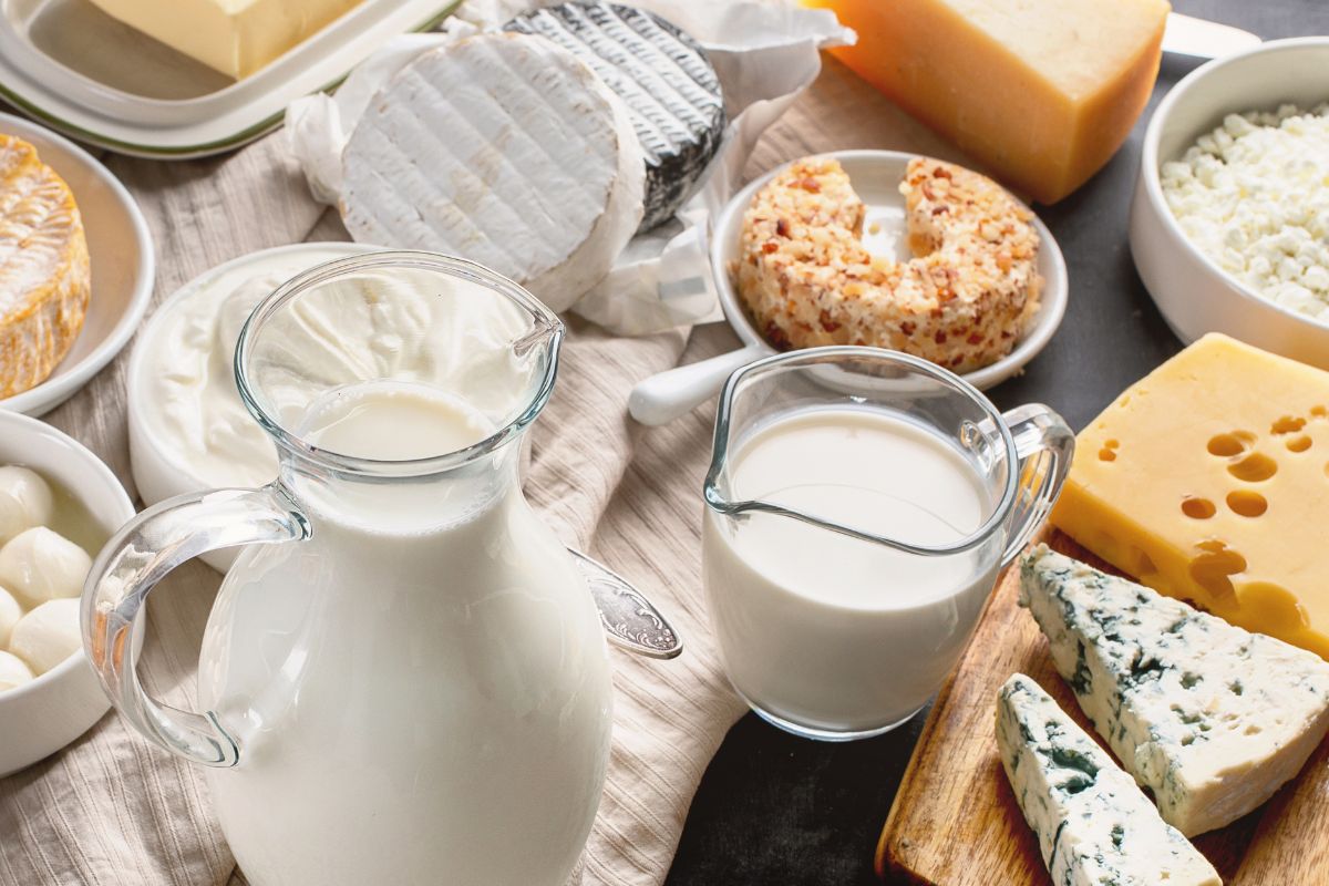 full fat dairy foods including milk, cheese, and creams