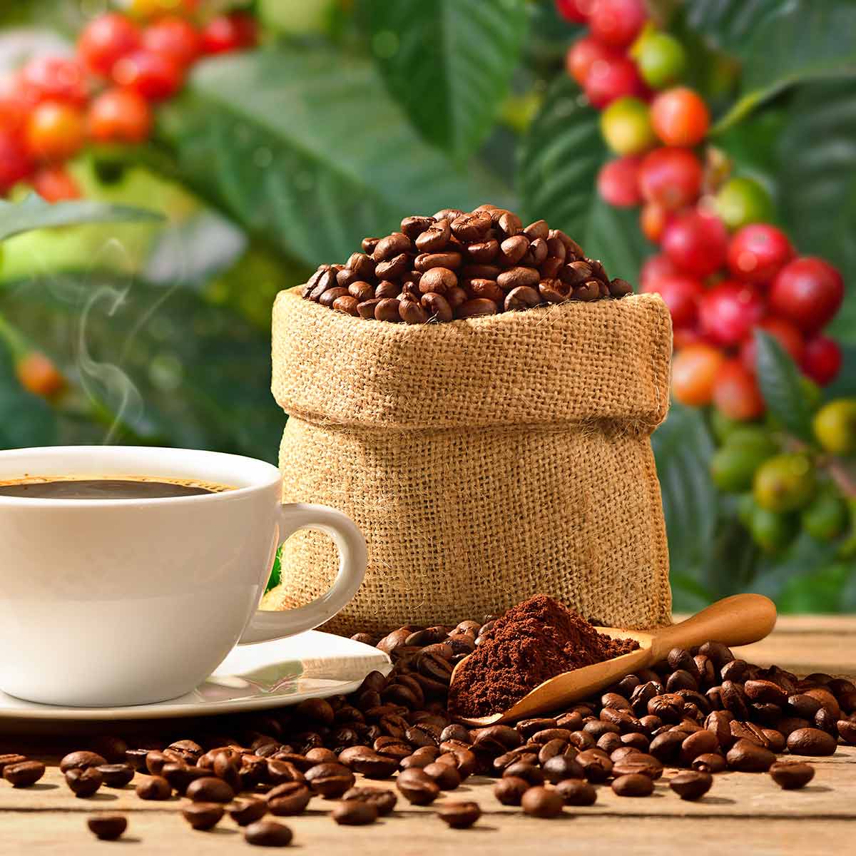 Caffeine as a Functional Ingredient