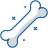 Icon Bone Health 01