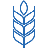 Fiber Icon