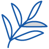 Herbal Supplement Icon