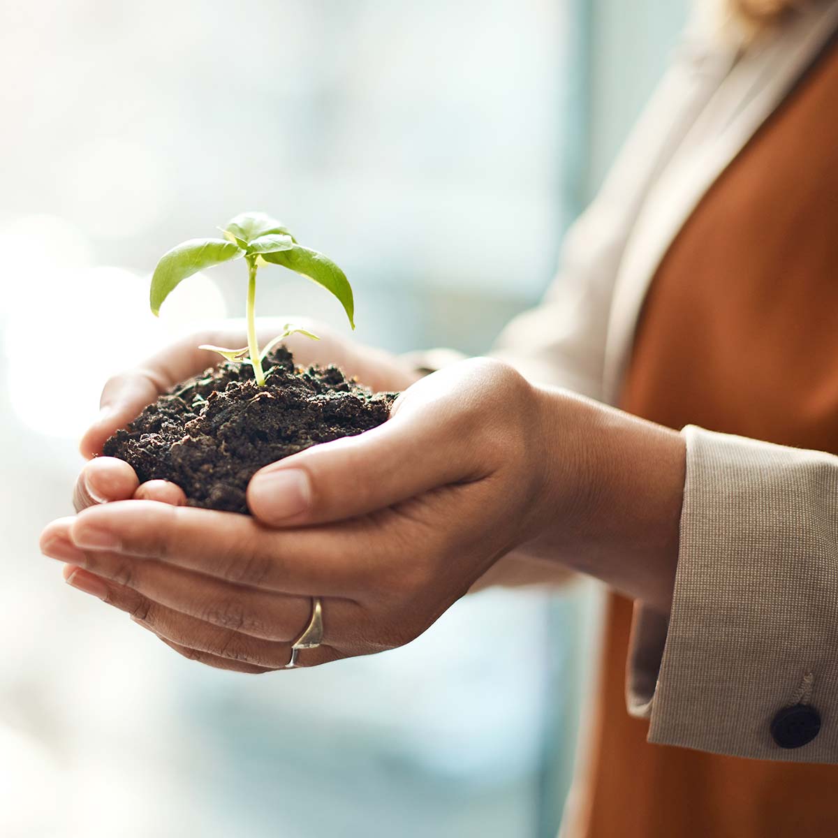 Woman holding a plant and soil in her hands
