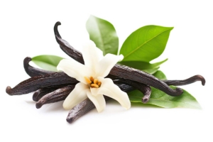 Vanilla Flavoring Flower