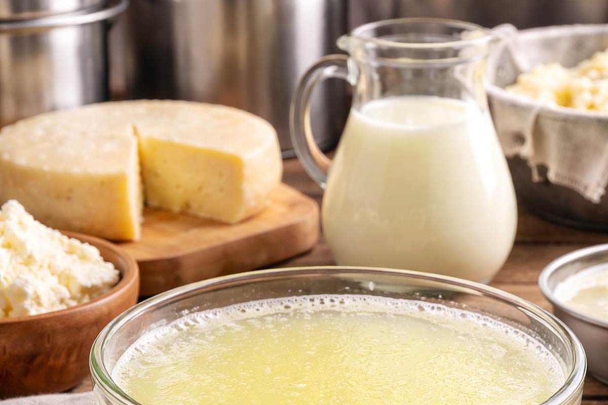 Whey Processing and dairy products