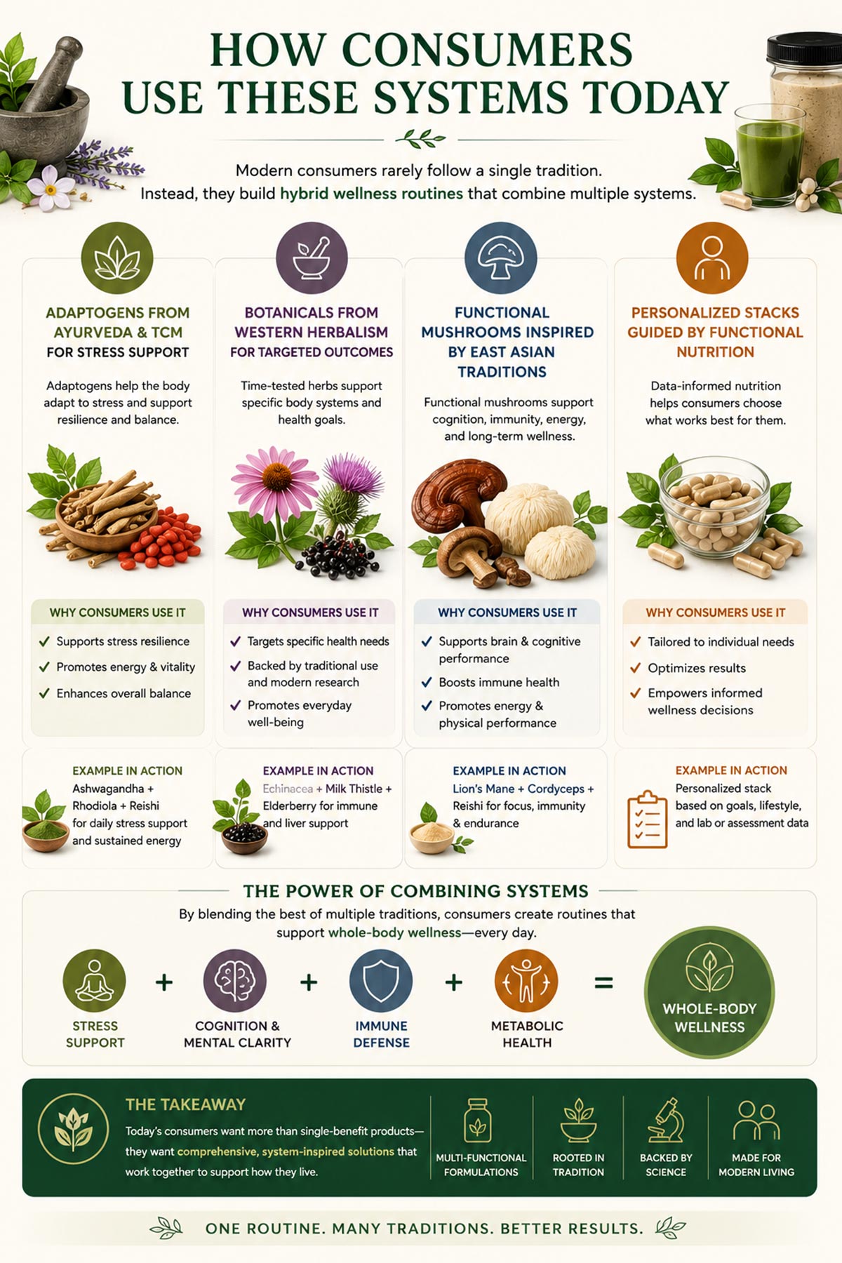 Ancient Traditional Medicine Infographic