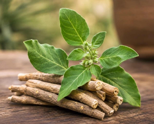 Ashwagandha And Energy For Men