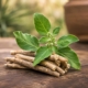 Ashwagandha And Energy For Men