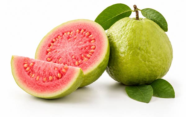 Guava Fruit