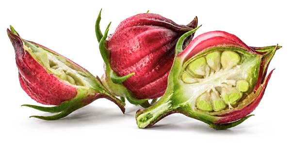Hibiscus Fruit