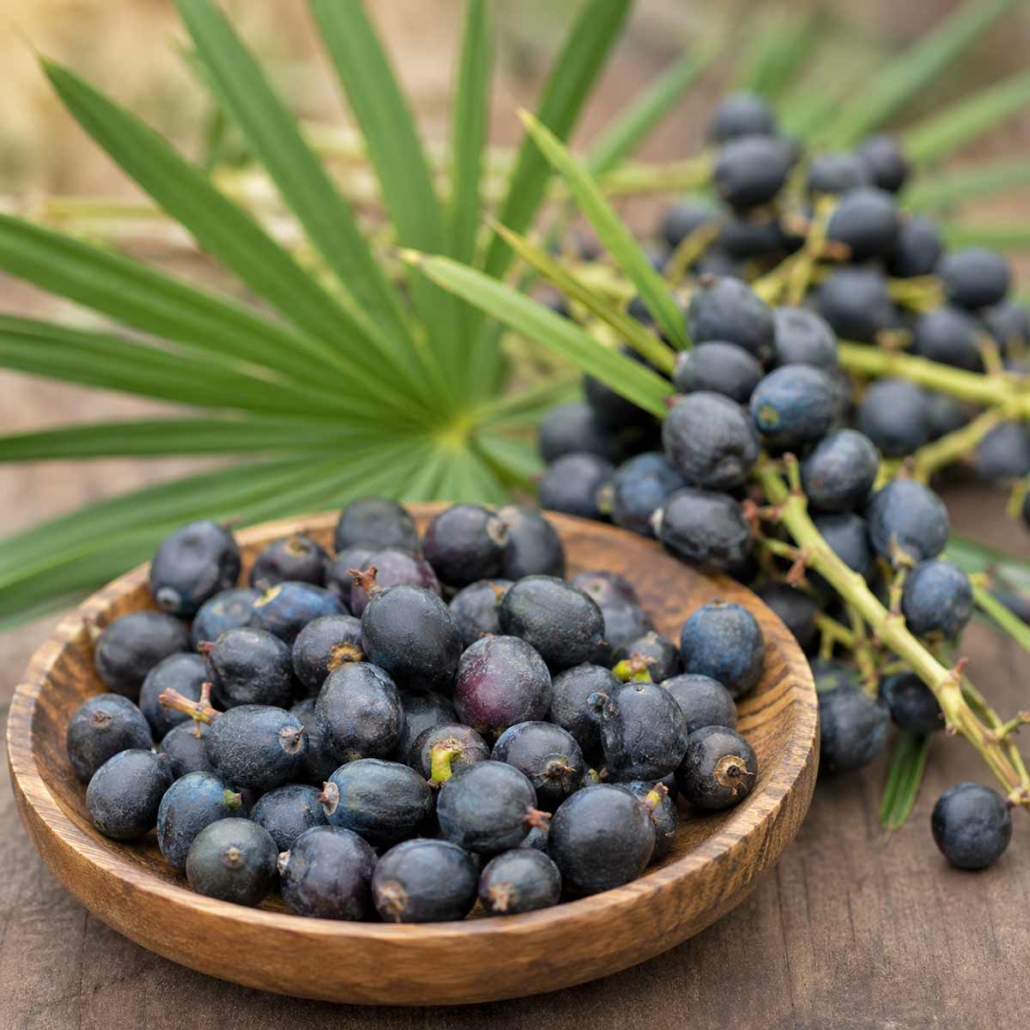 Saw Palmetto for Prostate Supplement Formulations