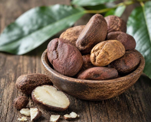 Kola Nuts - a natural source of caffeine for energy supplements