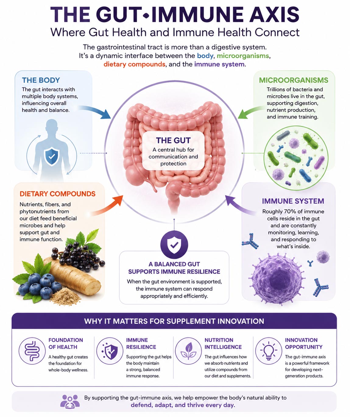 INFOGRAPHIC: Stock Formula - Berry Biome Powder