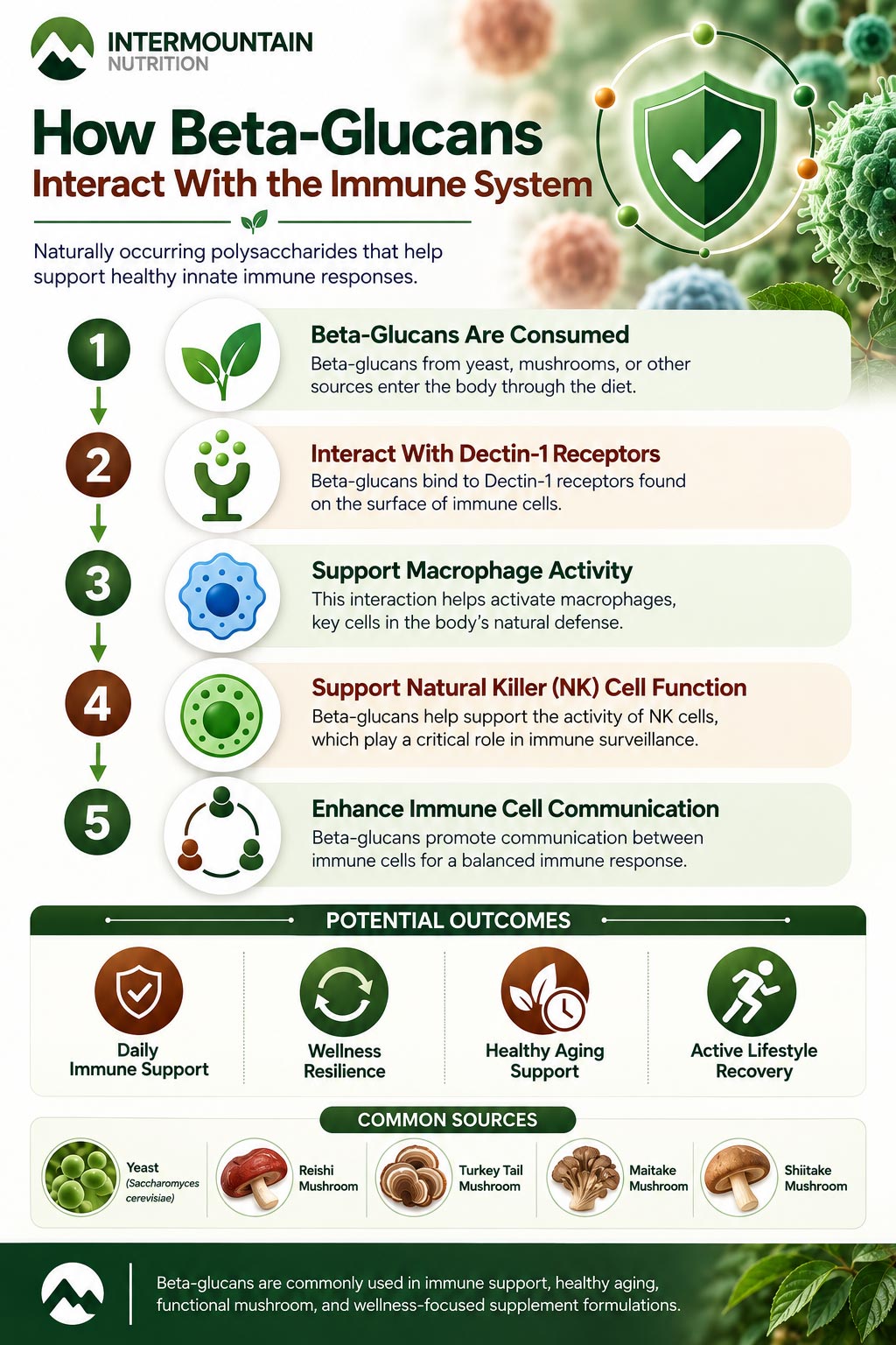 Beta-Glucans Interact With The Immune System