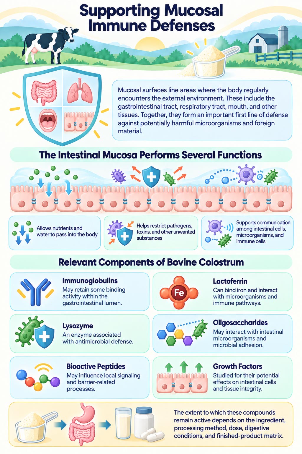 INFOGRAPHIC: Supporting Mucosal Immune Defenses