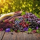 Anthocyanins For Colorful Immunity Support