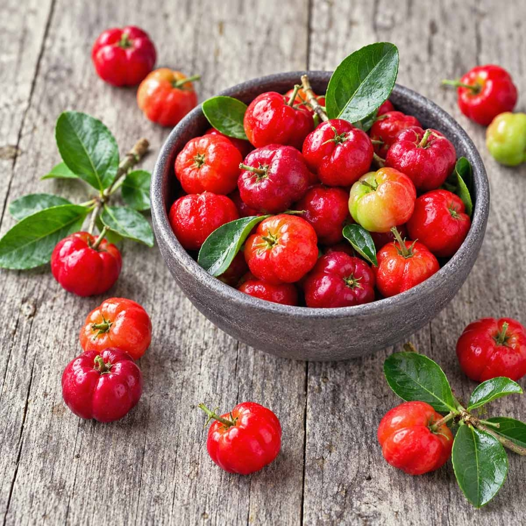 Acerola Cherries for Vitamin C for Antioxidant Supplement Formulation
