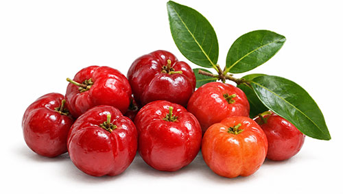 Acerola Cherries for Vitamin C for Antioxidant Supplement Formulation