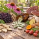 ingredients used for formulating and manufacturing nutritional supplements for immunity support